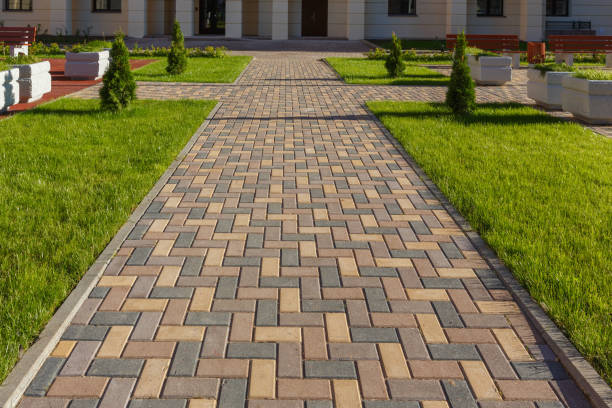 Best Local Driveway Pavers  in Maple Glen, PA